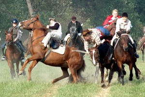 Obrazek